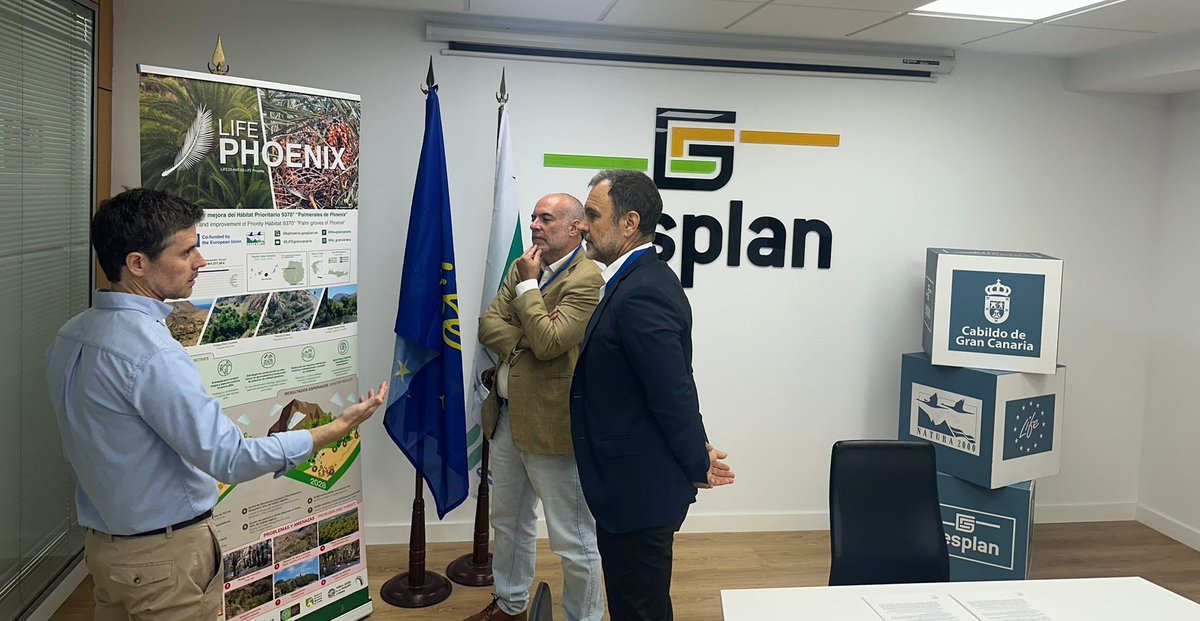 gesplansa's tweet photo. #ProyectosEuropeos 🇪🇺 | 🌴 #Gesplan y @Canaragua impulsan actuaciones para promover la protección de la palmera canaria. 👉El convenio de cooperación se enmarca en el proyecto Life Phoenix, cofinanciado con fondos europeos.
Consulta la nota de prensa 👇
https://t.co/J2UtC0rAlD https://t.co/XxQXwYgwKc