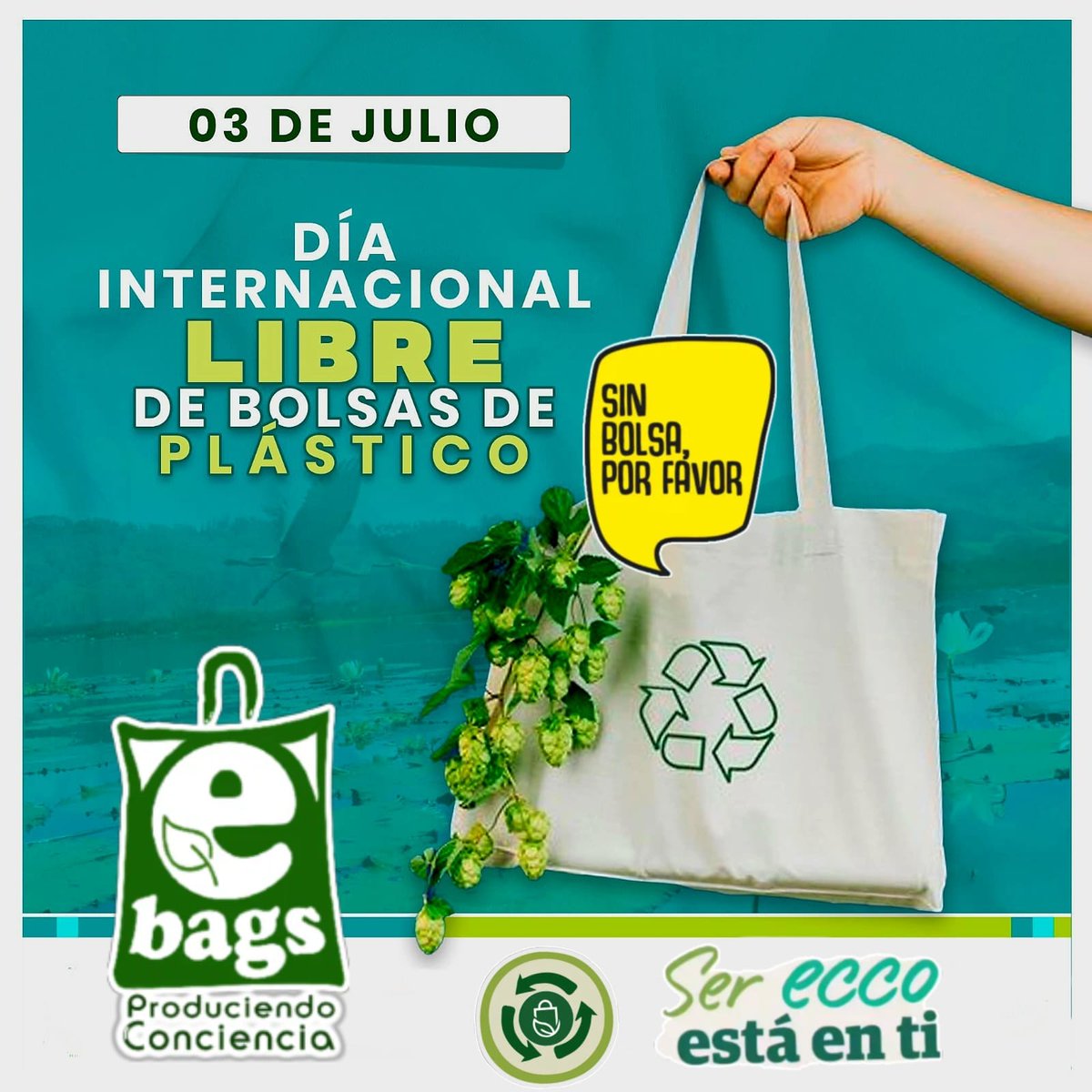 ecobolsa502's tweet photo. 🌍♻️ DÍA INTERNACIONAL LIBRE DE BOLSAS DE PLÁSTICO ♻️🌍

E-BAGS Bolsas Eco-Reutilizables te recuerda que…
🙌 ¡Cuidar nuestro planeta es tarea de todos!

🚫 Las bolsas plásticas contaminan por cientos de años.

🛍️ Usa bolsas eco-reutilizables.

🌱 Reduce, reutiliza y recicla. https://t.co/K6o9zErkOv