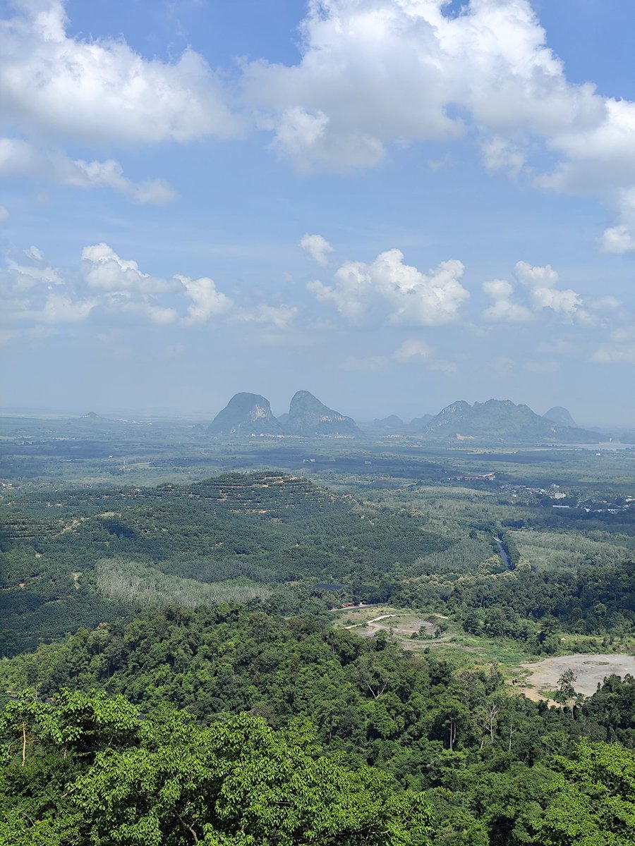 アハマド・ユスマニー tweet media