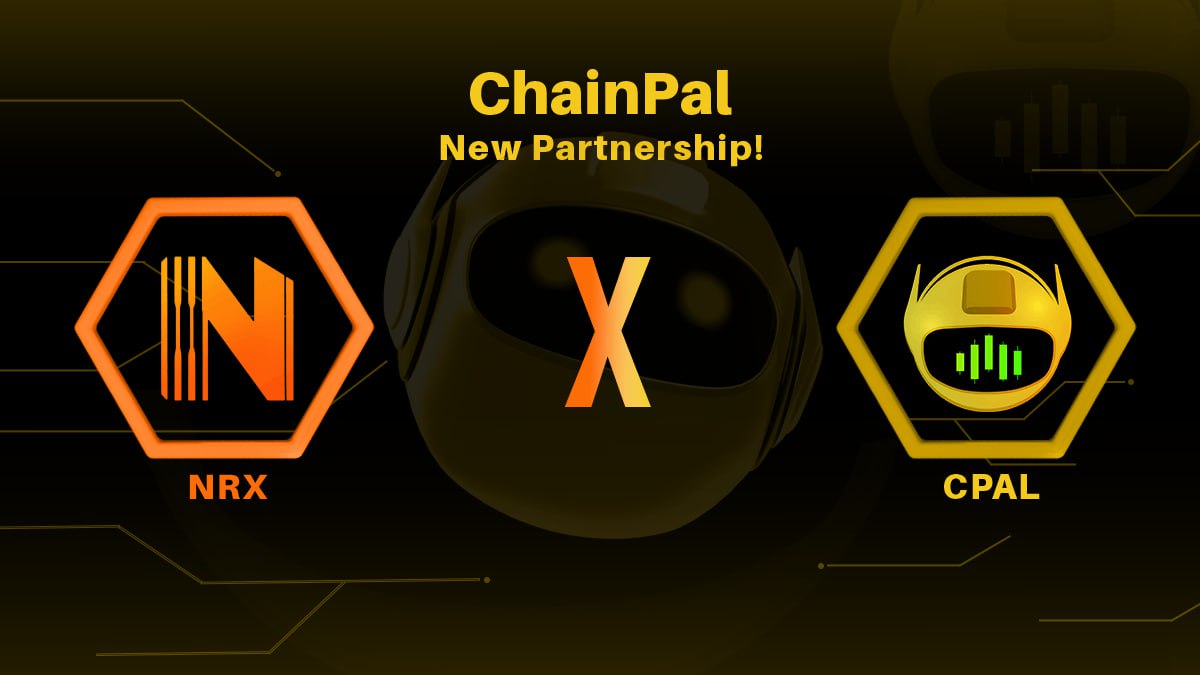 Chainpal 🤖🧠 tweet media