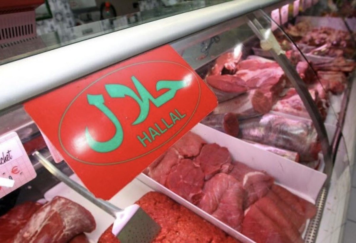 Offficiel : la contamination à la bactérie E. Coli de 30 personnes à Saint Quentin provient bien de la viande de 5 boucheries de la ville, toutes halal et donc probablement du seul et unique fournisseur de ses établissements. 

Pour mémoire, la bactérie, présente dans la matière