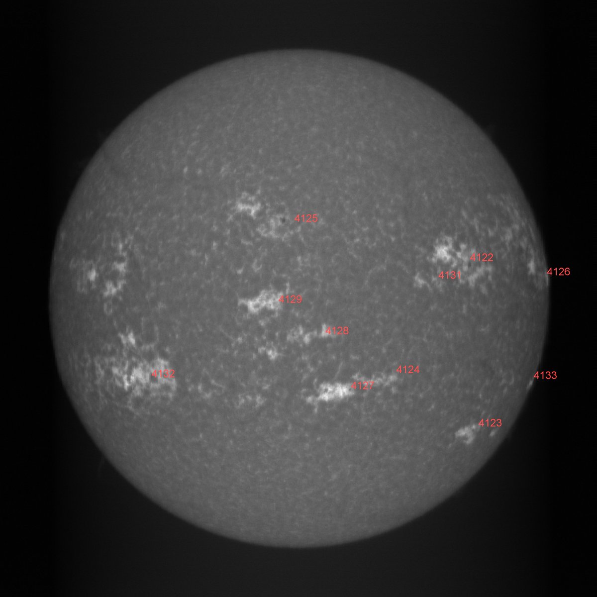 yltansg's tweet photo. 3Jul25. Scanned #Sun with #Spectrohelioscope in Calcium-H. Sun & its spots are quiet today. JSol'ex software re-constructed solar disk & labelled the spots. Some of JSol'ex output are attached. Intense magnetic fields & plages around sunspots in #Chromosphere are evident. https://t.co/uHvfUPv6Hy