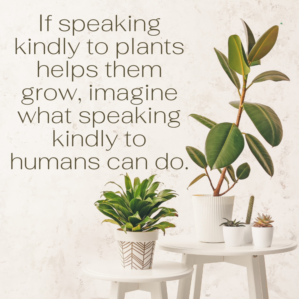 Be the Hope for someone. Be Kind. 

#Hope #Faith #Believe #Inspiration #Encouragement #Kindness