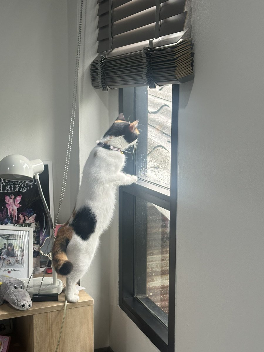 ยอดนักสืบสามสี