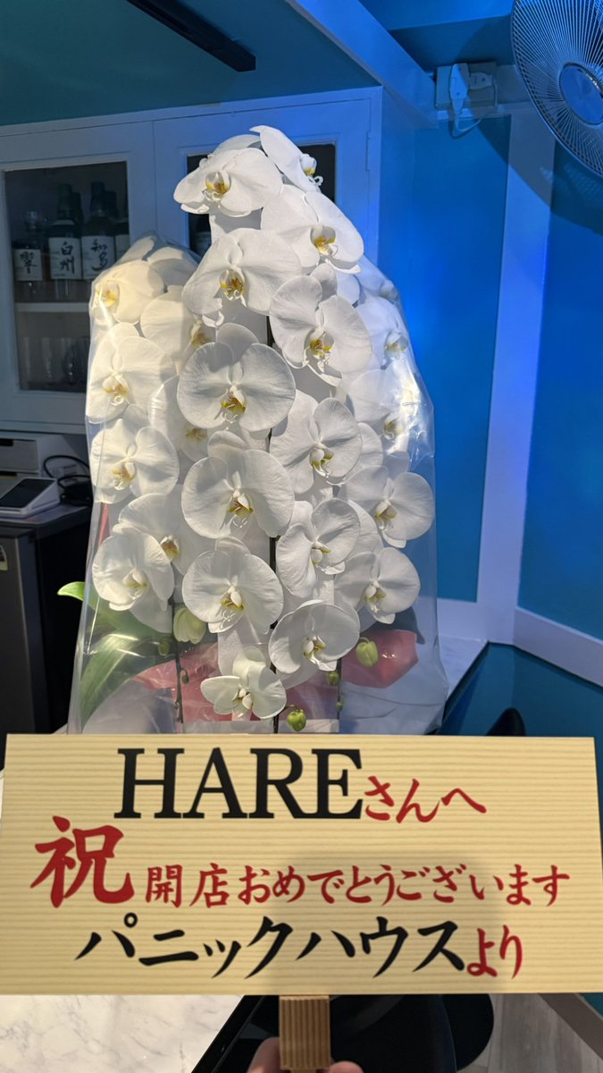 korosukenari08's tweet photo. こんなにたくさんお祝いのお花
ありがとうございます🙇🏼‍♂️

明日から2日間グランドオープンで
パーティーを開催させてもらうので
よかったらお待ちしてます🙌🏻！ https://t.co/JYgdB9tdFI