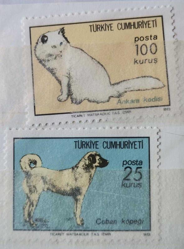 Baktım. Bizde de varmış.