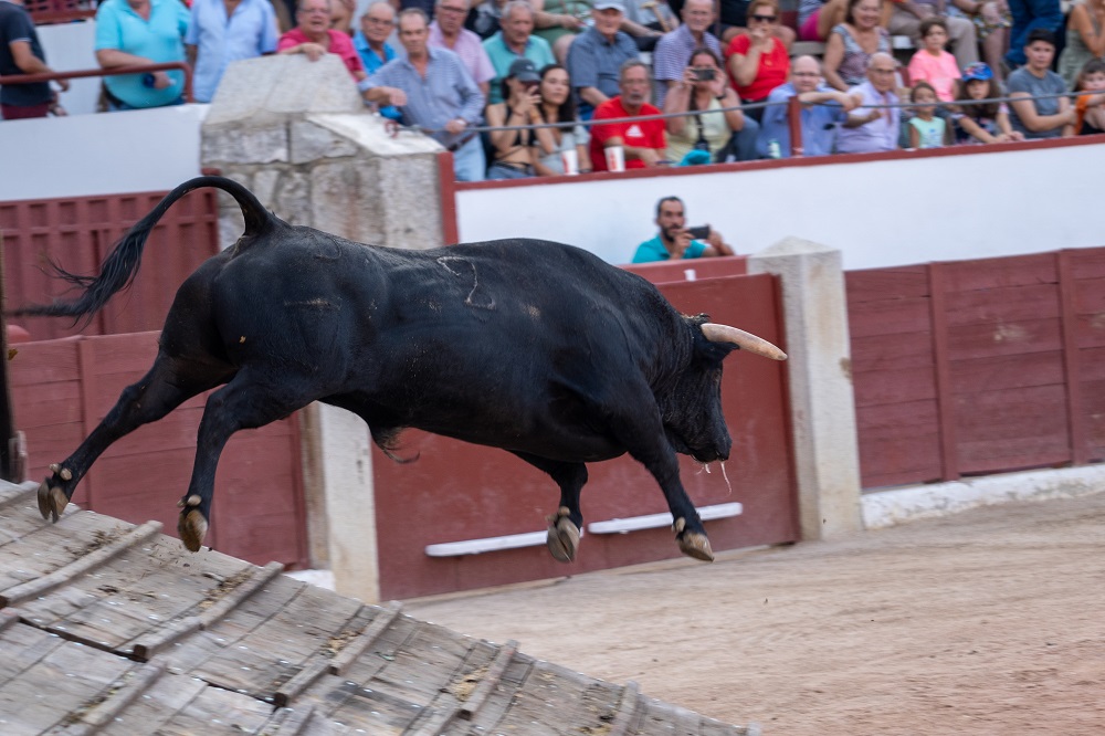 🗓️Abonos antiguos y abonos nuevos: del 19 al 23 de agosto

🗓️Asientos sueltos y abonos disponibles: desde el 25 de agosto

💻 Consulta toda la información aquí:
colmenarviejo.com/comunicacion/n…