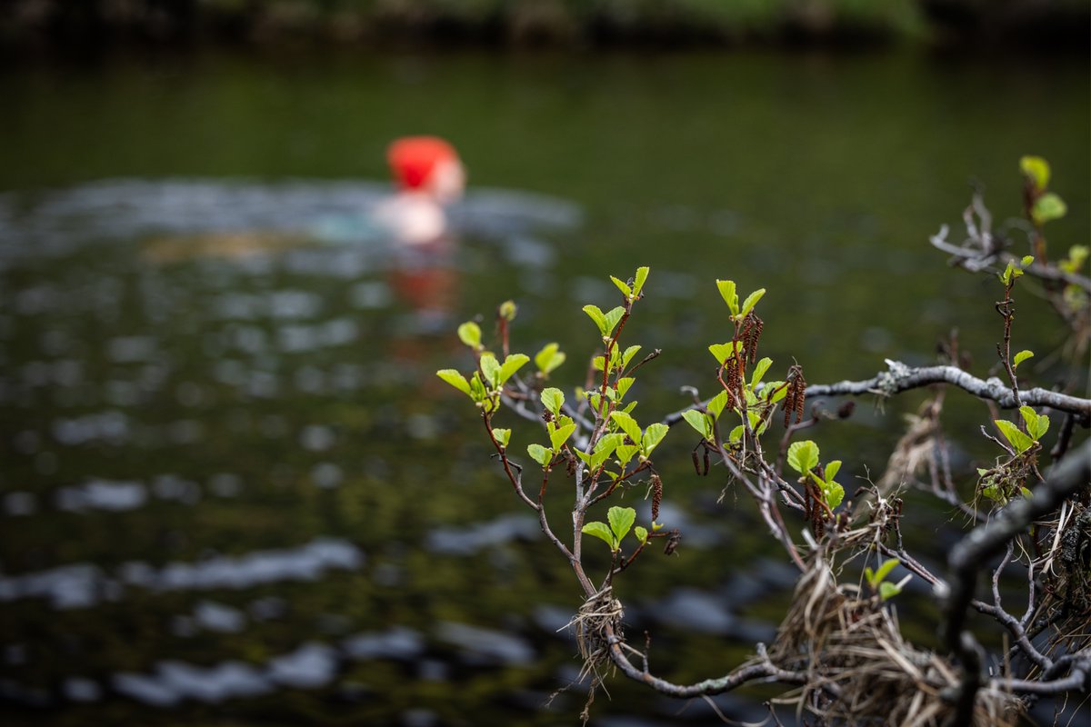 treesforlifeuk's tweet image. Fundraise for rewilding! 🌱
Whether you're running a race, celebrating a birthday, or setting yourself a personal challenge - why not raise funds to help restore Scotland’s wild forests?
Explore our fundraising ideas 👉 treesforlife.org.uk/support/suppor…
#CharityFundraiser #SupportNature