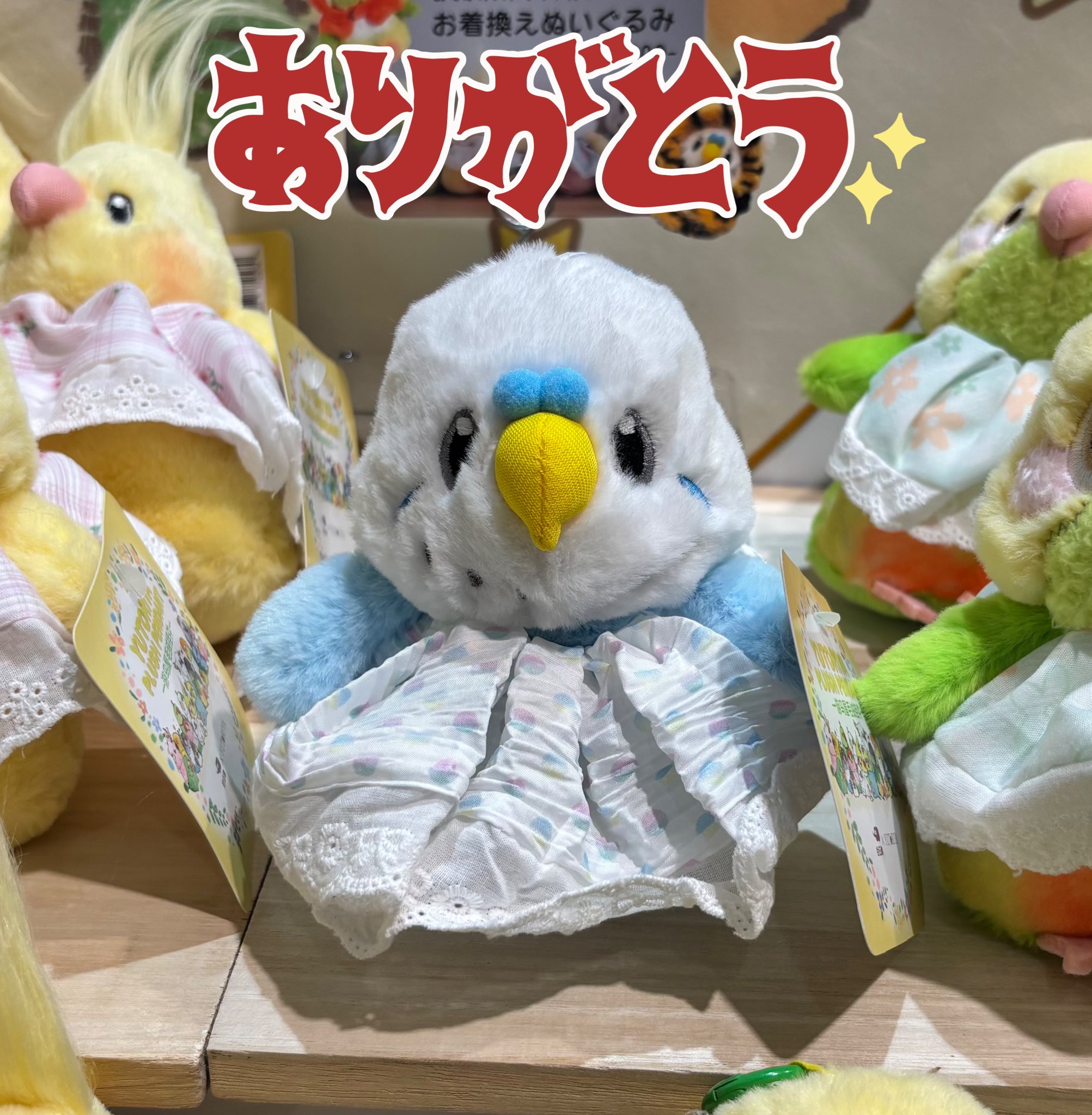 小鳥遊プニュル 小鳥遊ホシノ (水着)[浜辺の楽しさ] (パラレル) 【P-ST】 [WX25