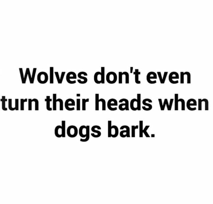 ✌️