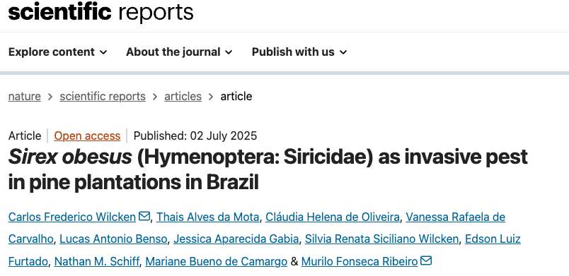 Una llamada de atención regional: nueva especie  de Sirex detectada en plantaciones de pinus de Brasil.

nature.com/articles/s4159…