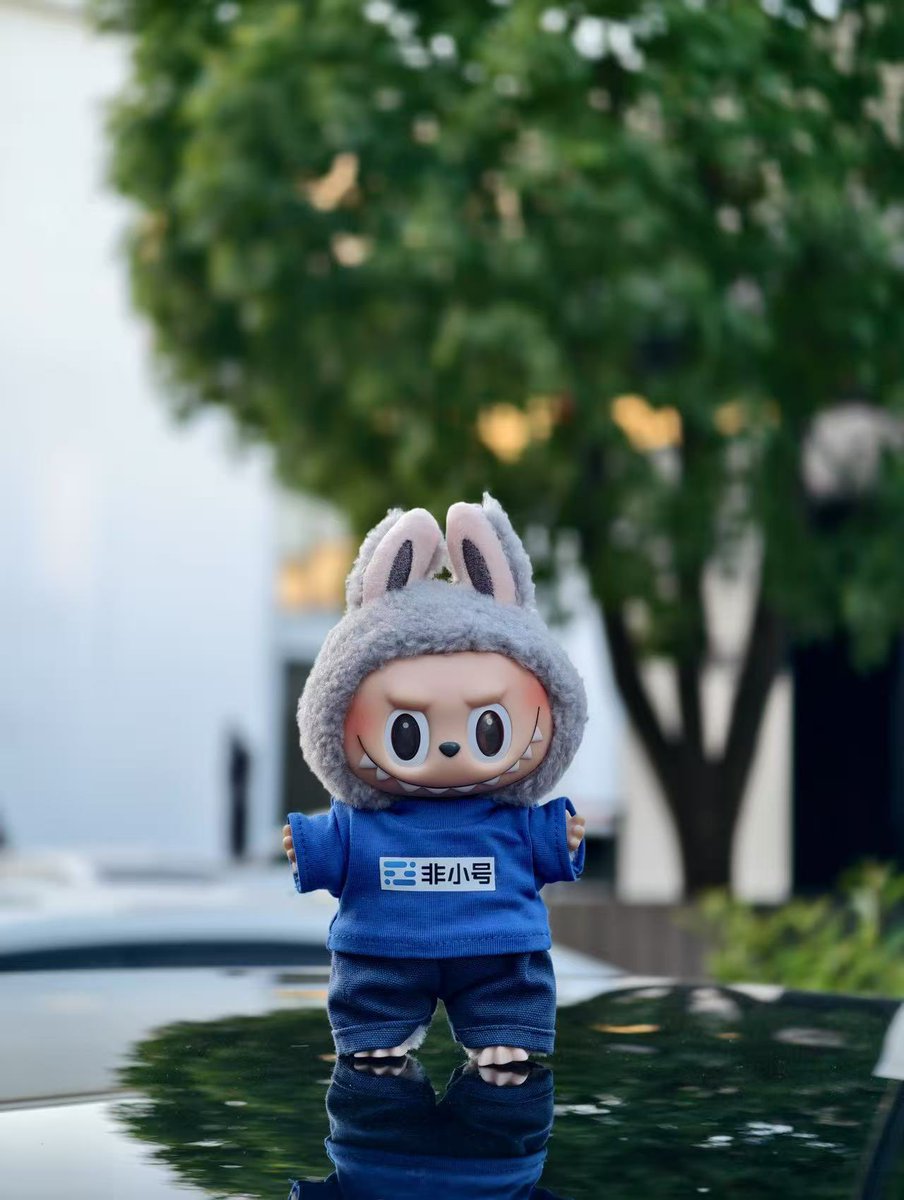 本来是想给大家一个惊喜的，不过太多人想要，我先给大家看看吧，这几天周边礼盒🎁发出，感谢🙏王宁的联名款labubu……一个小时，让我感觉到拉布布的成功秘诀了！