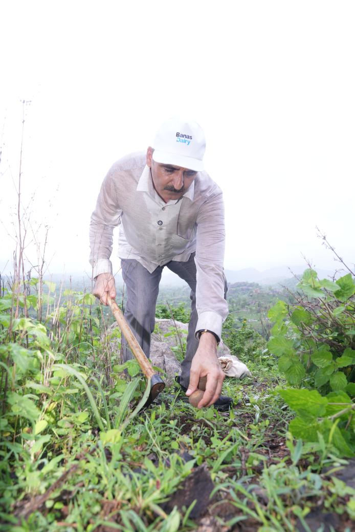 ChaudhryShankar's tweet photo. Aligned with the visionary leadership of Hon’ble PM Shri @NarendraModi Ji, a seed ball campaign has begun near Ambaji in the Aravalli hills. A big push for greener forests under the Aravalli Green Wall Project! https://t.co/NVAXl9KOTj