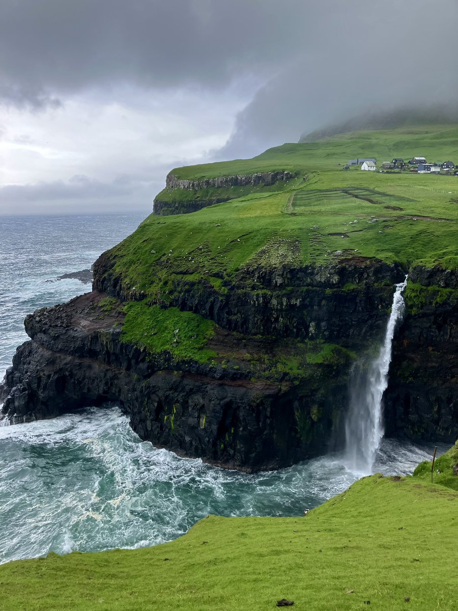 Veronika Drlíková tweet media