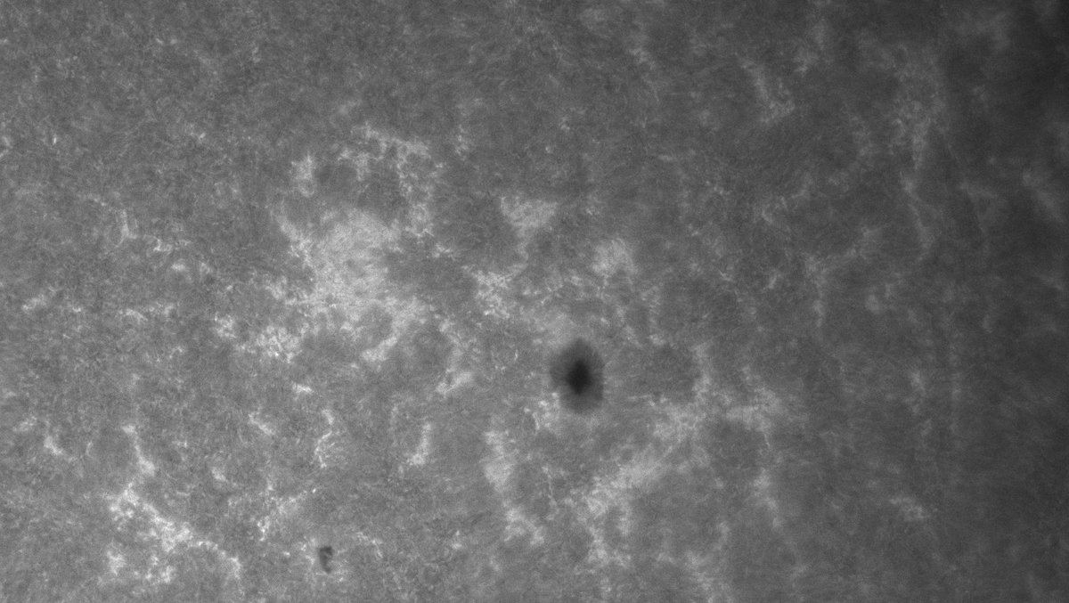 yltansg's tweet photo. 3Jul25. Spectrohelioscope (#SHG) & 150mm Calcium-K refractor provide complimentary views of the Sun's #Chromosphere. SHG shows #Chromosphere full disk, whilst 150mm refractor a close-up of Active regions AR4122 & 4131. https://t.co/xE8XmzPybN
