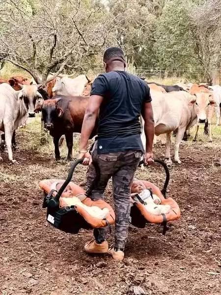 AfricanHub_'s tweet photo. Free DNA test

This is a common practice by the Zulu people of South Africa. Also practiced in Zimbabwe and Lesotho.

The cows approach cautiously and harmlessly to inspect and sniff the baby (usually female). If the baby remains calm through the process, it belongs to the family. But if it get frightened and start screaming (crying), it's a bastard.

The study also indicates that it’s 99.99% accurate.