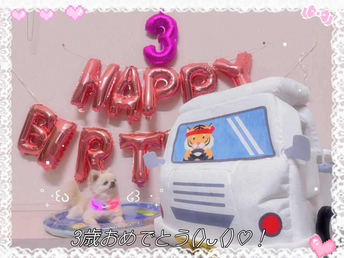 CHOPA_39's tweet image. こまめ7月1日誕生日だったの❗️🎉💖
軽トラプレゼントした( ・w・)WWWWW
ずっと一緒に居ようね~(&gt;ᴗ&lt;)💖💖💖