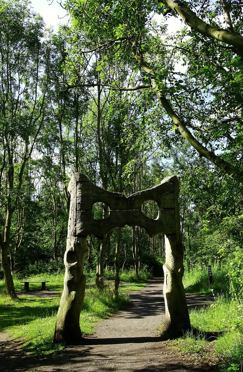 jac61941964's tweet image. The Rising Sun Country Park, North Tyneside this morning.
The park was developed on the site of a former coal mine.
#RisingSun
#NorthTyneside
#CountryPark
