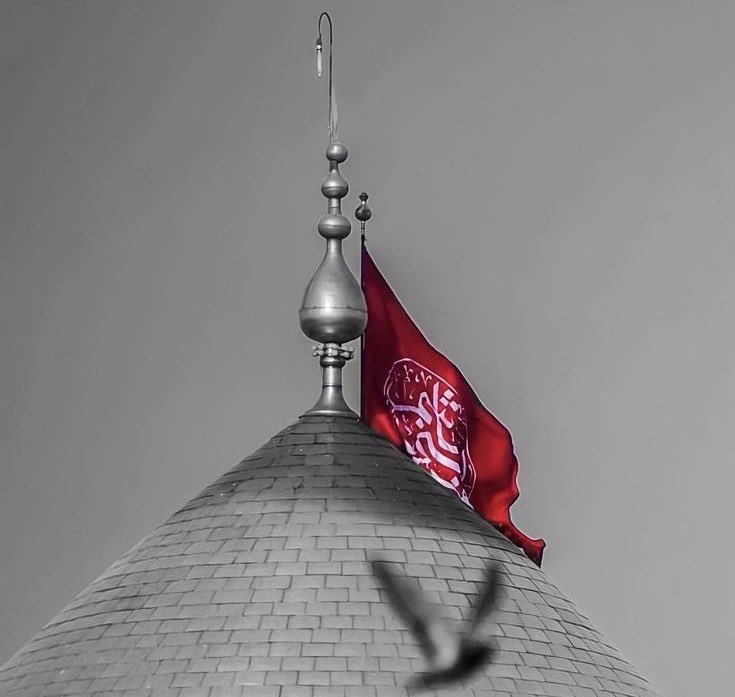 saminzehrabeg's tweet photo. Salam ho us Shaheed par Jiski Misaal Aliع se Shuru hui or Asgharع par Khatm hui —💔 https://t.co/lubD0iyEdz