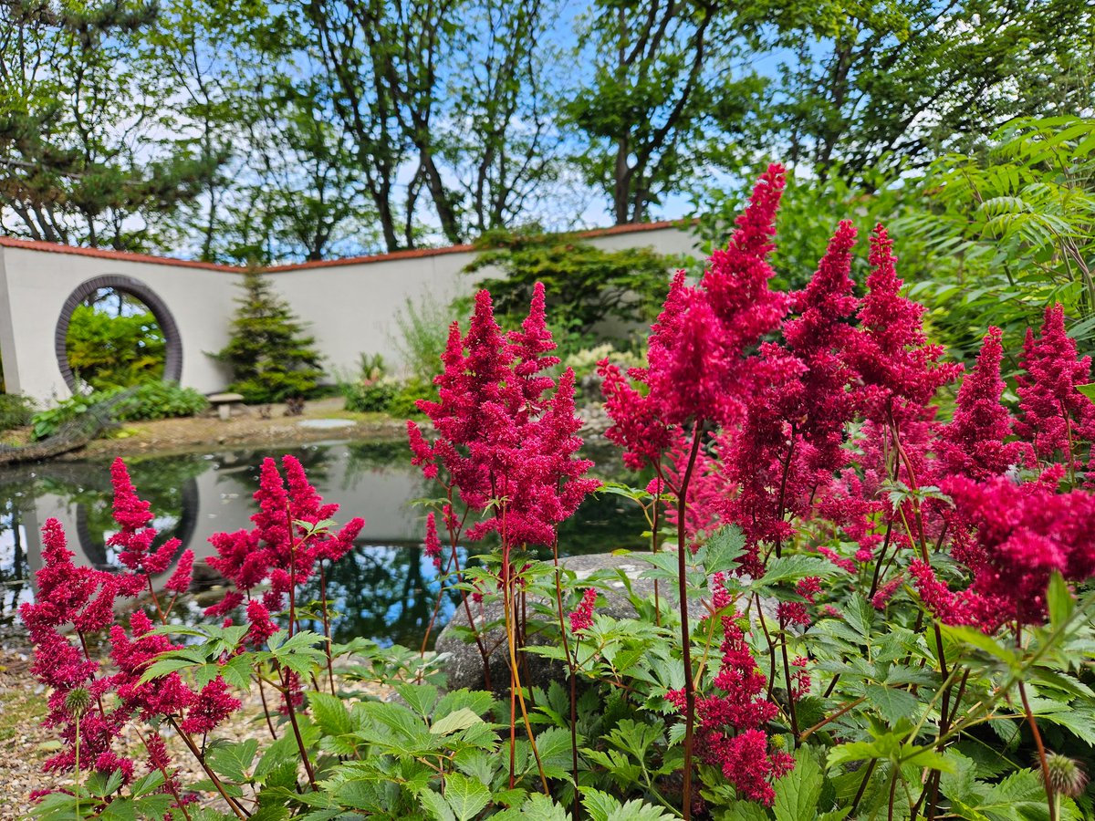 Lovely sunny day here at Peasholm Park in Scarborough <a href="/kerriegosneyTV/">Kerrie Gosney</a>