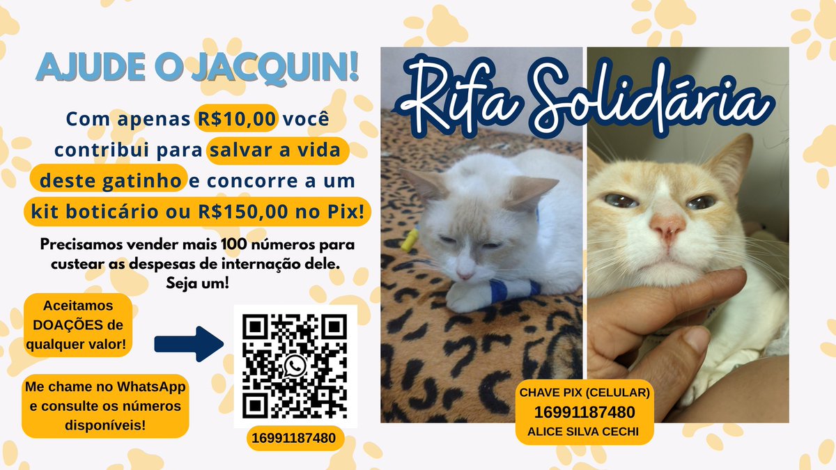 Mincchi1's tweet photo. Oi pessoal, peço ajuda de vocês para salvar a vida do meu gato. Ele está com uma infecção sistêmica, com sonda e precisando de + exames. Com R10,00 na rifa, voce contribui diretamente para o bem-estar dele e ainda tem a oportunidade de ganhar R150,00 no Pix ou um Kit Boticario. https://t.co/xh8UCBdqjC