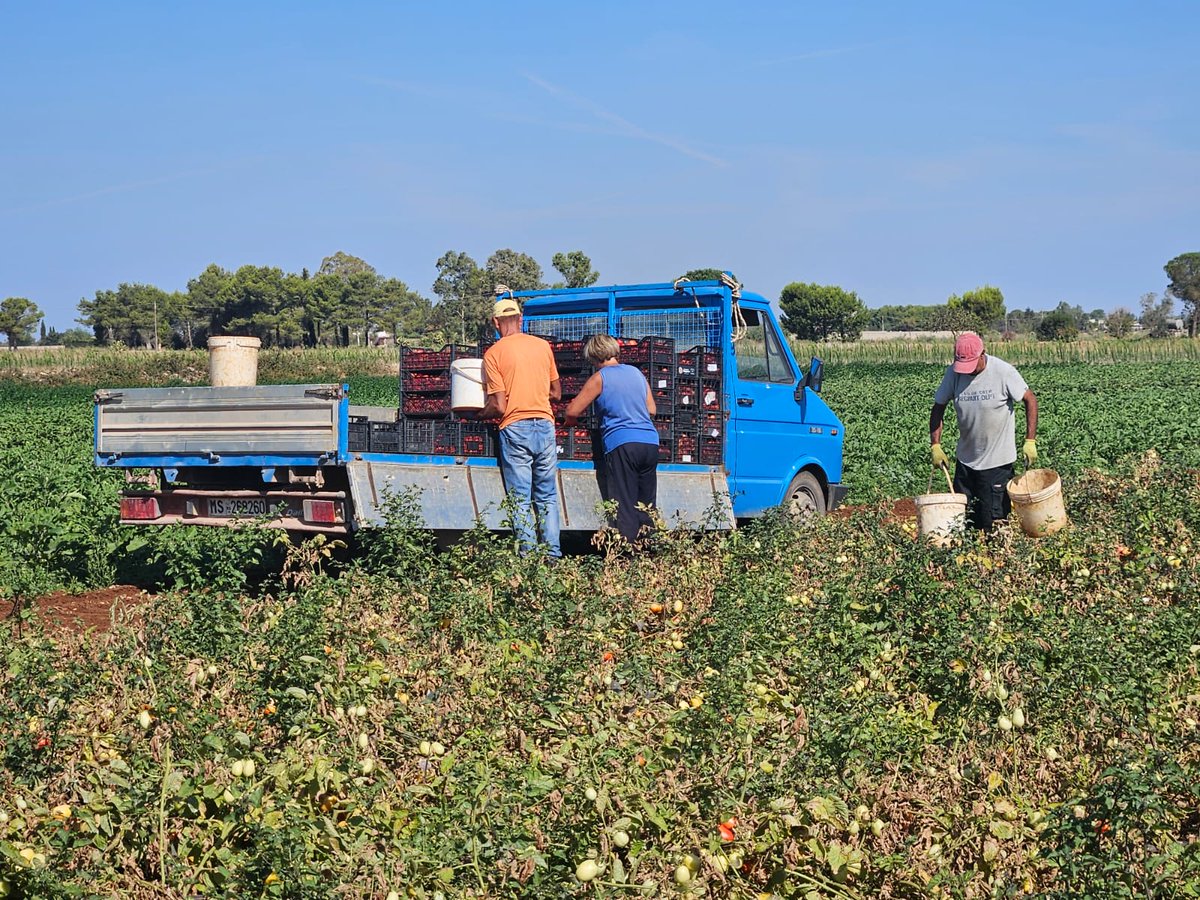Fai-Cisl Nazionale (@fai_cisl) on Twitter photo #3luglio emergenza #caldo 🔥il Segretario Generale <a href="/OnofrioRota/">Onofrio Rota 🇮🇹🇪🇺</a> commenta le disposizioni nazionali sottoscritte ieri tra #Governo e parti sociali: "Positivo il protocollo quadro sulle emergenze #climatiche, che fornisce un orientamento e delle linee guida per uniformare le molte #3luglio emergenza #caldo 🔥il Segretario Generale <a href="/OnofrioRota/">Onofrio Rota 🇮🇹🇪🇺</a> commenta le disposizioni nazionali sottoscritte ieri tra #Governo e parti sociali: "Positivo il protocollo quadro sulle emergenze #climatiche, che fornisce un orientamento e delle linee guida per uniformare le molte
