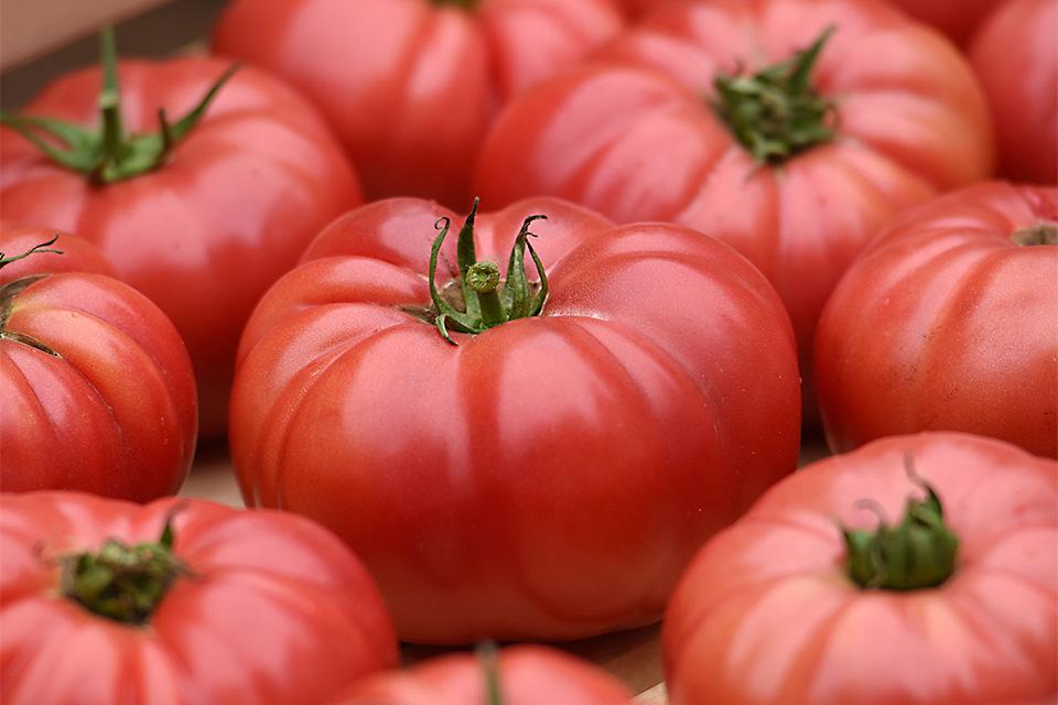 Growing Produce tweet media