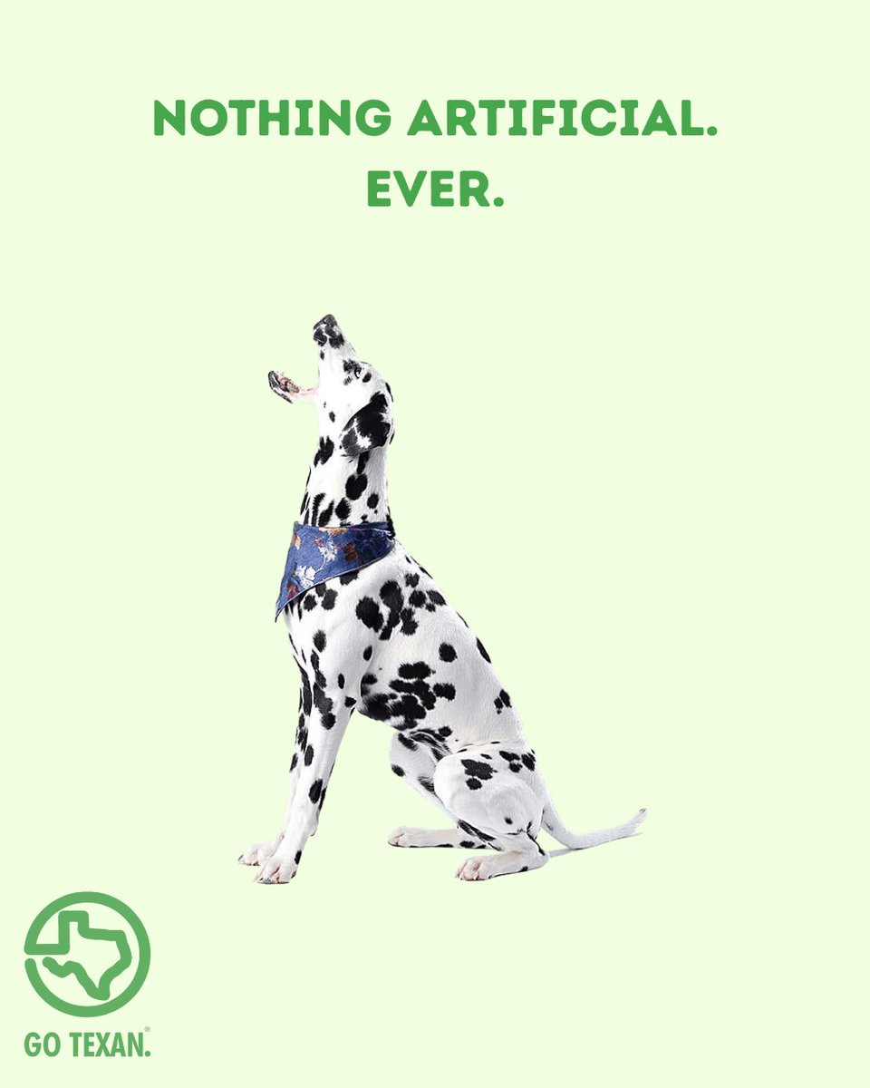 GOTEXAN's tweet image. Commissioner Sid Miller wants you to know that Pickles Dog Treats are made with real ingredients and real care. Our pets deserve the best—and that’s exactly what this brand delivers.
#GOTEXAN #TexasEats #SupportTexas #TexasGrown #LocalPride