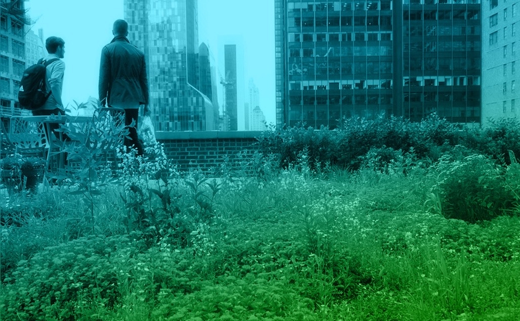 🐝 Aún no existe, pero lo tenemos en mente:
Hotel de Abejas
Una azotea industrial convertida en micro-ecosistema: energía solar, agua de lluvia, abejas polinizando el barrio y un laboratorio urbano de biodiversidad.

¿Y si Madrid llenara sus tejados de vida?

💭 ¿Qué te parece?