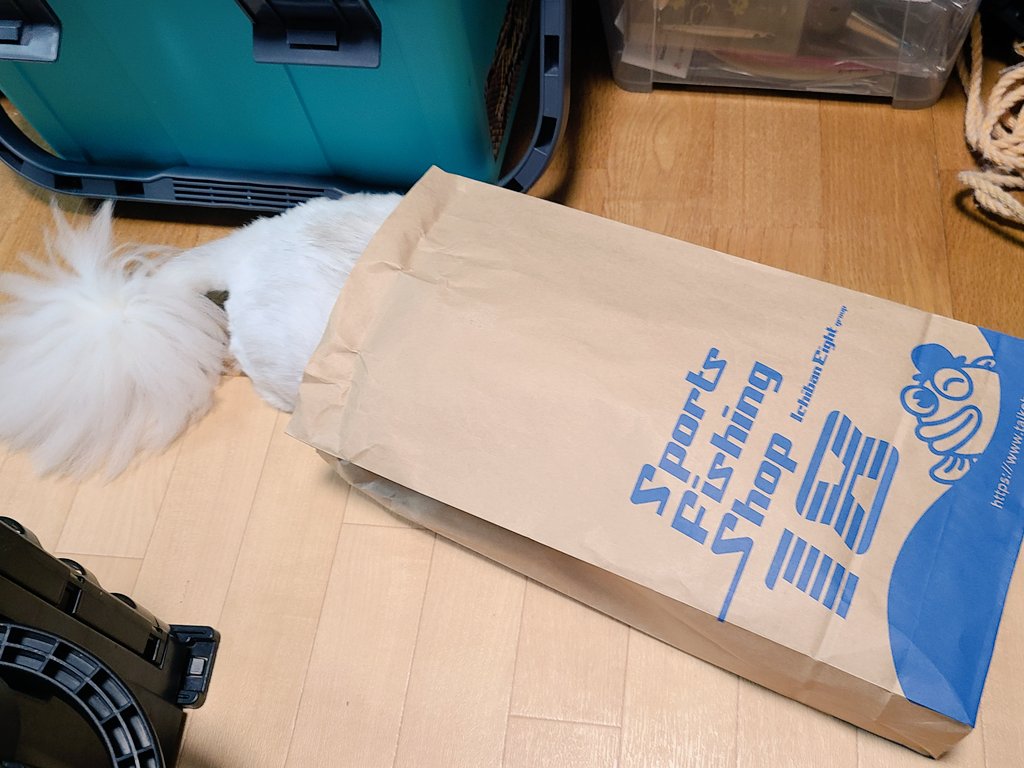 doheyama's tweet photo. 猫も喜ぶエイトの紙袋！
今日の袋はちょっとおっきすぎたみたいです。 https://t.co/yA1J2FshC7