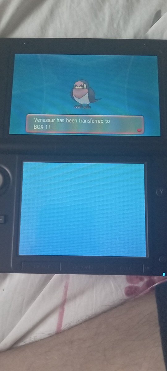 Fridgbix's tweet image. Welcome @WeatherBalling the Tailow