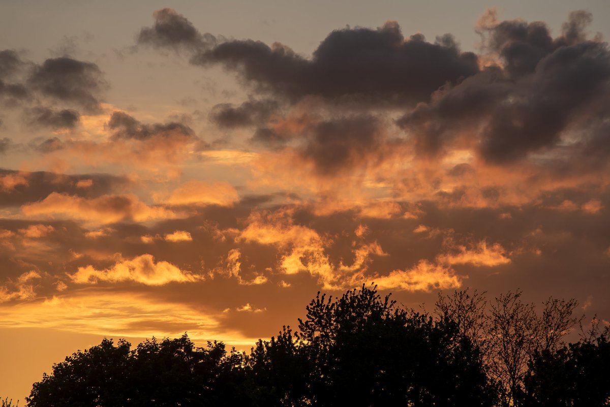 After the storm has passed, messy clouds crowd the skies under the fading sun while ripped branches litter the soaked grass below.

Some things can be seen. Others felt. Till they’re replaced by whatever else sweeps in from the skies before disappearing into the night.

#ldnont