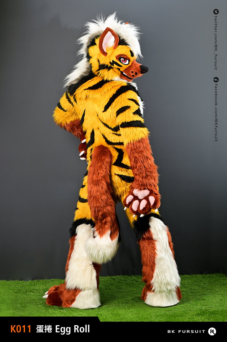 K011
---------------------------------------
Full fursuit 全毛
Name：Egg Roll / 蛋捲
Species：Hyaena hyaena 條紋鬣狗
---------------------------------------