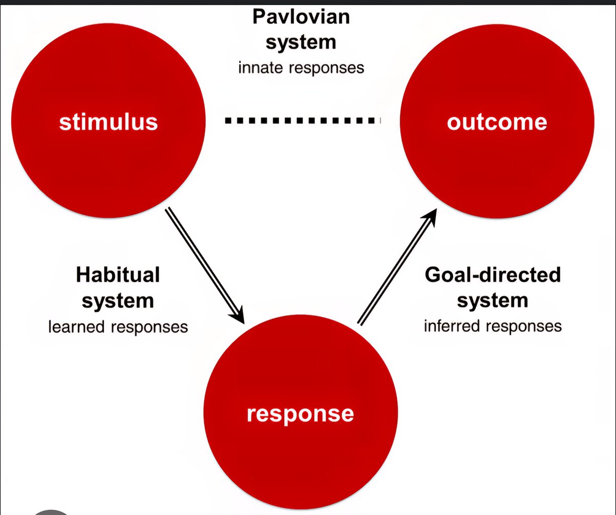 JPSoccerCoach's tweet image. Training in "Specificity" develops a multitude of areas.
1) Our stimulus/response patterns resemble those of a match
2) You train your energy system in a pattern similar to the energy requirements of the game.
3) It creates specific adaptations at the cellular level - Epigenetics