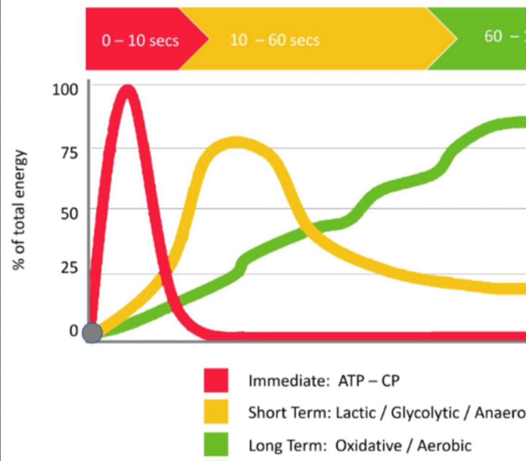 JPSoccerCoach's tweet image. Training in "Specificity" develops a multitude of areas.
1) Our stimulus/response patterns resemble those of a match
2) You train your energy system in a pattern similar to the energy requirements of the game.
3) It creates specific adaptations at the cellular level - Epigenetics