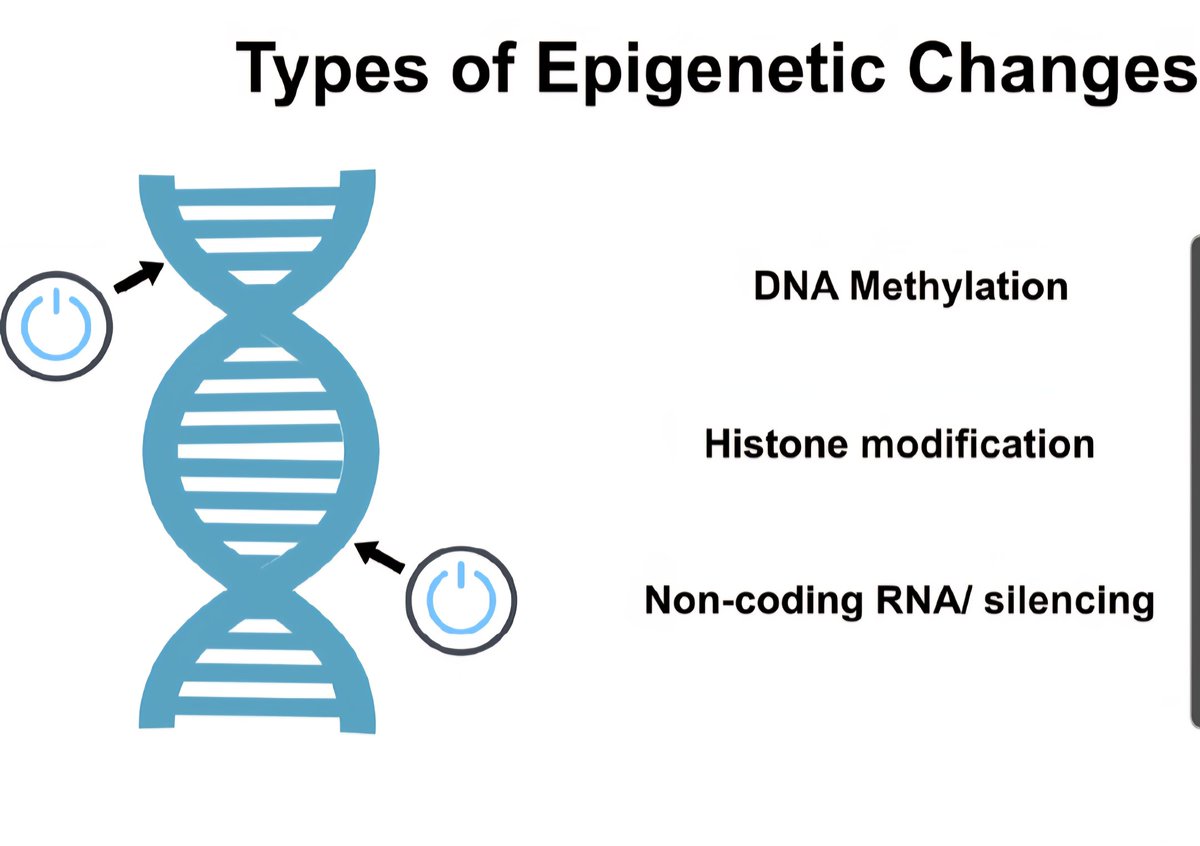 JPSoccerCoach's tweet image. Training in "Specificity" develops a multitude of areas.
1) Our stimulus/response patterns resemble those of a match
2) You train your energy system in a pattern similar to the energy requirements of the game.
3) It creates specific adaptations at the cellular level - Epigenetics