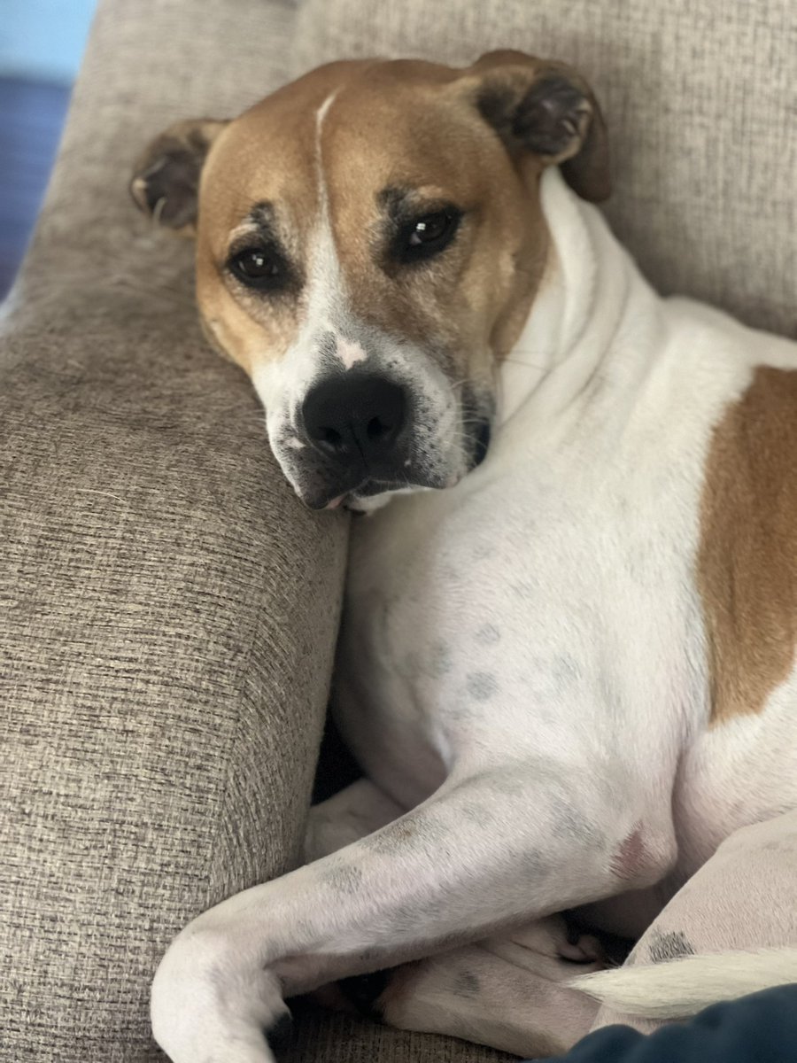 Waiting for our walk