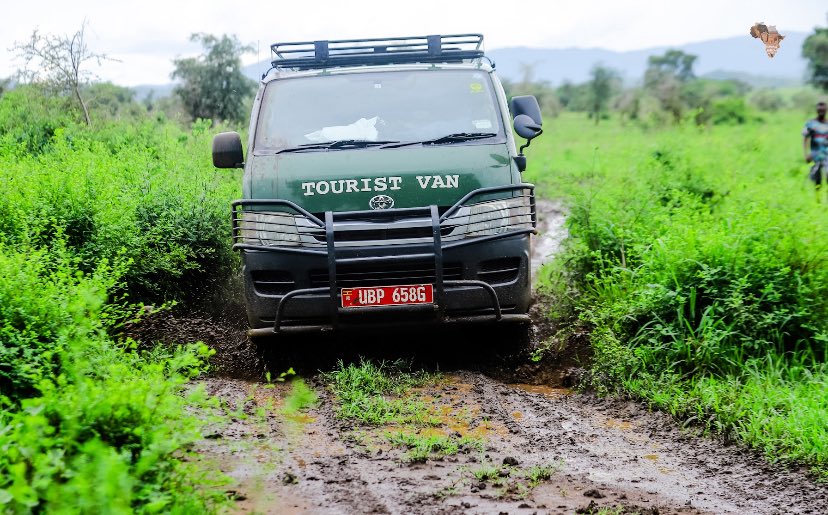 Huzaifah__K's tweet image. Who needs a smooth ride when you can have a muddy adventure? 

This tourist van is living its best life on Kidepo's rough roads! #MuddyWheels #UgandaVibes #TouristLife