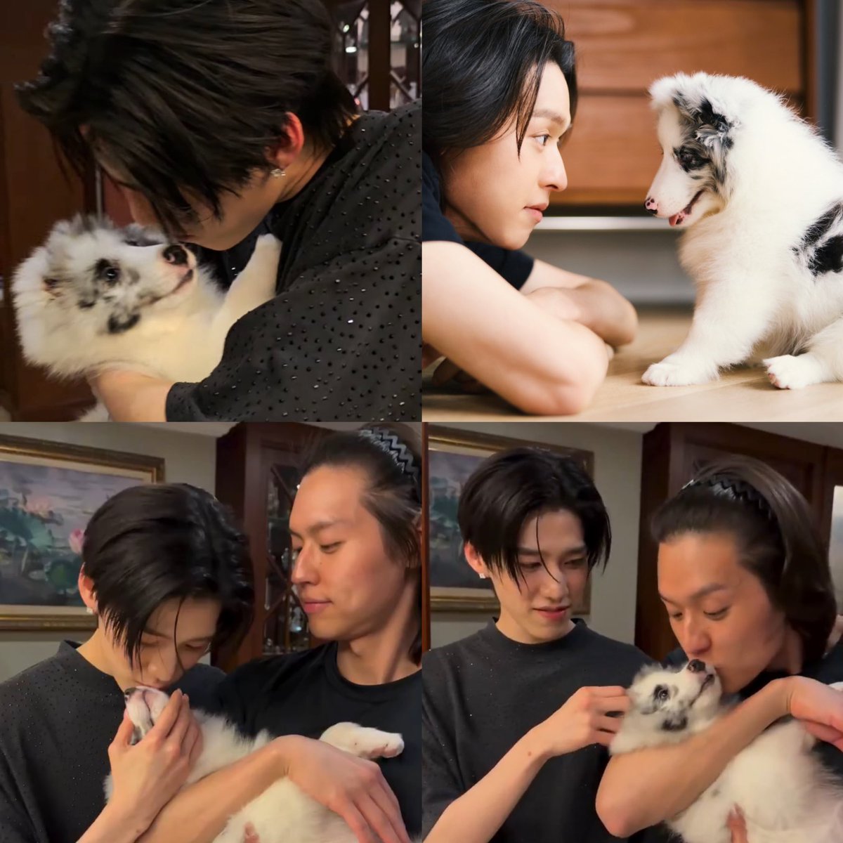 pubpupsk's tweet photo. โตมาด้วยความรักเน้อ🐶🫳🏻 https://t.co/Ub5eYQ8FI3