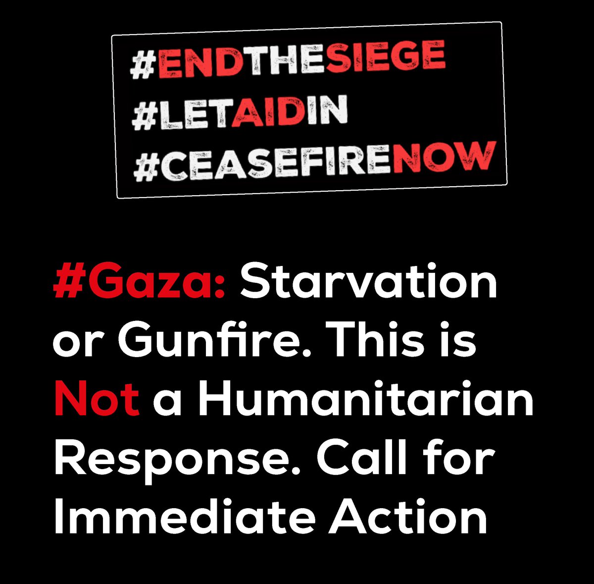 IPPNWgermany's tweet image. #Gaza: Starvation or gunfire. NGOs call on all third states for immediate action: Take concrete measures to end the suffocating siege and uphold the right of civilians in Gaza to safely access aid & receive protection! amnesty.org/en/latest/news… #LetAidIn