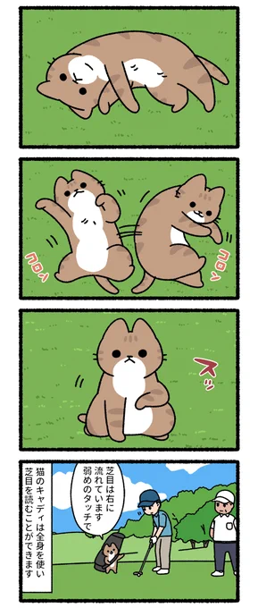 猫のキャディ 