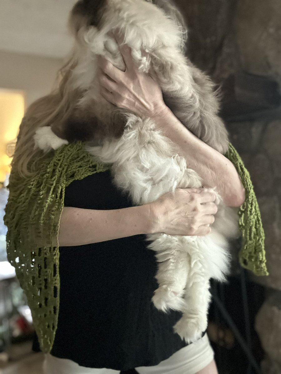 My smaller ragdoll Finn . I am 5’11 for reference 😍😍