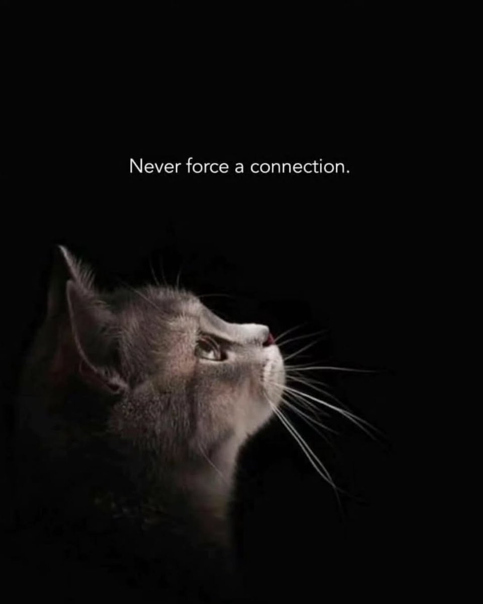 kausar_nargis's tweet image. #Header_updated