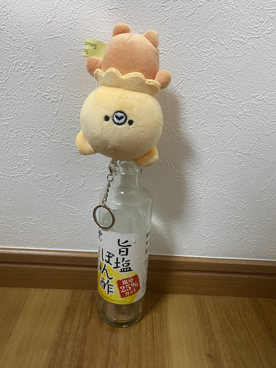 大事に使っていたけれど、我が家も本日の夕食でなくなりましたピヨ。
また手に入れねば…🍊

#すとっぴ #stoppi
#ヤマカノ