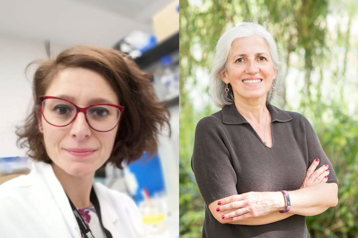 UniOfSurrey's tweet image. Our School of Biosciences has been awarded over £250,000 from @cclguk and @lptrustuk to conduct vital research into paediatric acute myeloid leukaemia.
@mariateresaes and @LisiMeira will investigate targeting the SET gene to improve survival rates for children with high-risk…