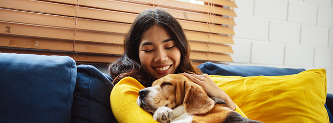 Keeping people and pets together during a housing crisis is essential for preserving family bonds and reducing trauma. Yet less than 25% of domestic violence shelters accept pets, and homeless shelters follow the same rule. Read here: nysba.org/nysba-program-…