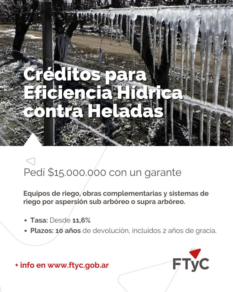 💧 Prepararse también es producir.

Instalá un sistema de riego que protege tus cultivos de las heladas y mejora el uso del agua.
📆 Hasta 10 años para devolverlo, con 2 de gracia.
🛠️ Una inversión clave para los meses críticos.

👉 ftyc.gob.ar/eficiencia-hid…