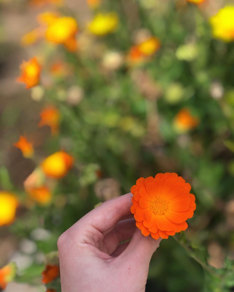 Seeing beautiful things makes you feel happier