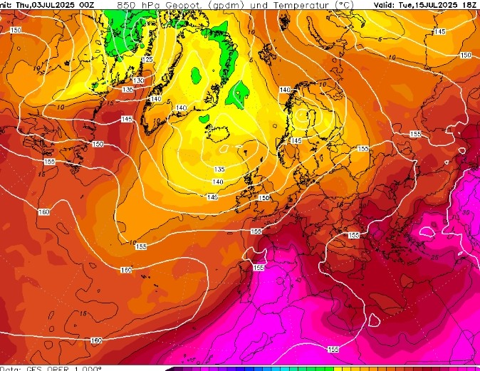 Carles Nerín Faydella tweet media