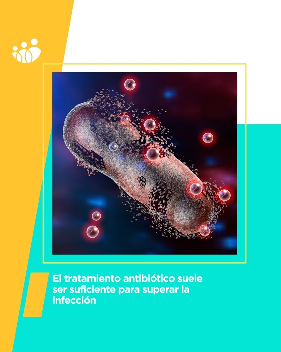 ACUNSA (@acunsa) on Twitter photo La otitis es una infección muy común en verano, especialmente en los niños ya que pasan mucho tiempo en el agua.
<a href="/ClinicaNavarra/">Clínica Universidad de Navarra</a> explica cuáles son los síntomas o responde si podemos bañarnos o no en este post. bit.ly/2XAN3me La otitis es una infección muy común en verano, especialmente en los niños ya que pasan mucho tiempo en el agua.
<a href="/ClinicaNavarra/">Clínica Universidad de Navarra</a> explica cuáles son los síntomas o responde si podemos bañarnos o no en este post. bit.ly/2XAN3me